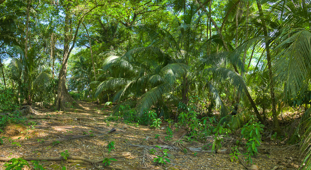 Photographie Panoramique - Guyane - Iles du Salut (17)
