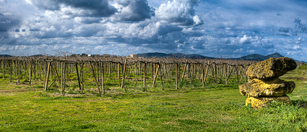 Photographie Panoramique - Italie - Sardaigne - Alghero - Vigne (1)
